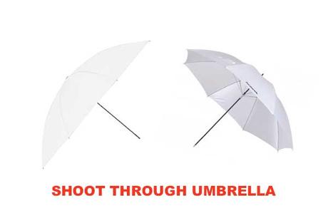 Shoot Through Umbrella