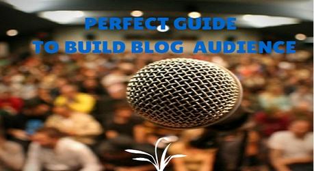 Perfect Guide to Effectively Build a Blog Audience