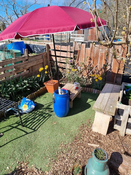 Our Allotment in March 2022