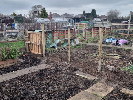 Our Allotment in January 2022