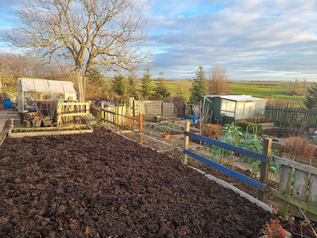 Our Allotment in January 2022