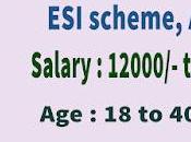 Scheme Assam Recruitment 2022 Grade Vacancy