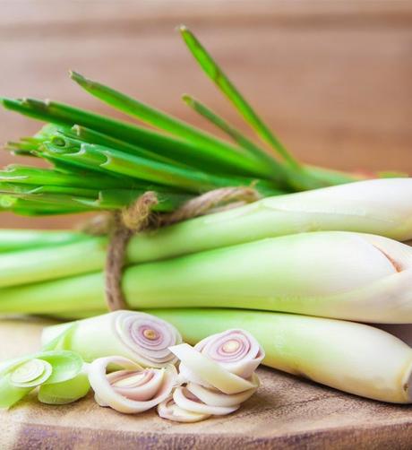 8 Lemongrass Substitutes You Can Use To Flavor Your Dishes