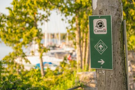 A Complete Guide to Hiking the Bruce Trail