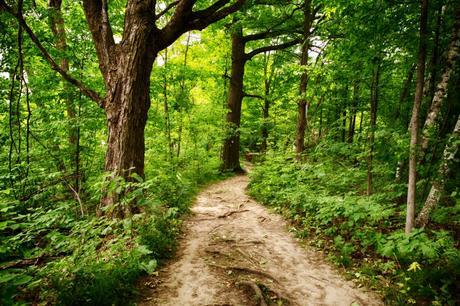 A Complete Guide to Hiking the Bruce Trail