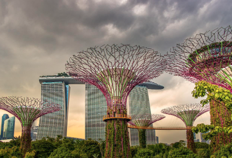 Singapore: Going Solo | Solo Travel In Singapore