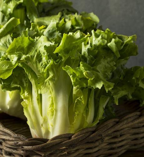 7 Escarole Substitutes You Can Use In A Pinch
