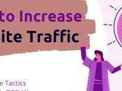 Tips Drive Traffic Your Website: Scientifically Proven, Fastest Ways