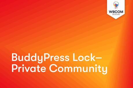 Private Community- buddyboss vs mighty networks
