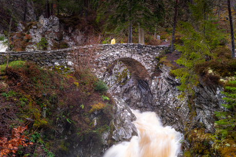 Whiskey and the Wilds – The Cairngorms National Park