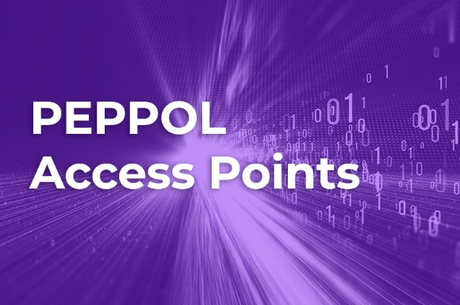 Full Guide Of Using Peppol Access Point