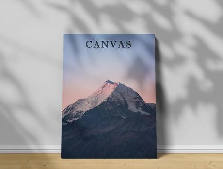 Canvas Prints or Framed Prints (Which Option is Better)