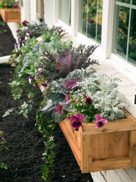 window box ideas full sun