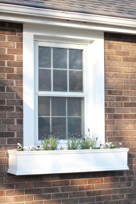 window box ideas for spring