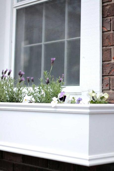 cheap window box ideas