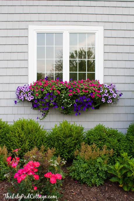 window box ideas for summer