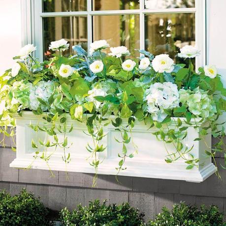 window box decorating ideas