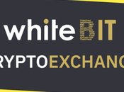 WhiteBIT Blog: Useful Information About Crypto Exchange Industry