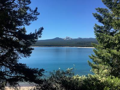 BREATHTAKING BEAUTY FROM YOUR BICYCLE SEAT, Gravel Grinder, Sisters, Oregon, Guest post by Matt Arnold