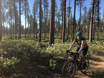 BREATHTAKING BEAUTY FROM YOUR BICYCLE SEAT, Gravel Grinder, Sisters, Oregon, Guest post by Matt Arnold