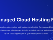 WordPress Users Choose Cloudways Over Other Hosting Providers