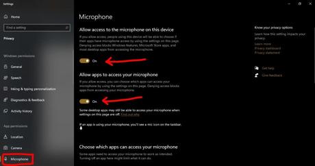 Enable microphone access