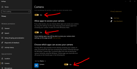 Enable camera access