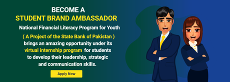 Virtual Internship Program
