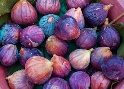 Which one doesn't belong? [figs]