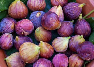 Which one doesn't belong? [figs]