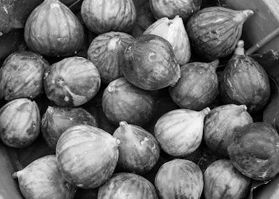 Which one doesn't belong? [figs]