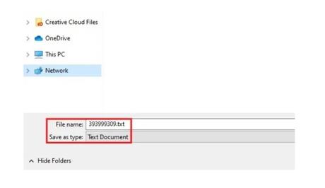 Save the first file as a .txt document