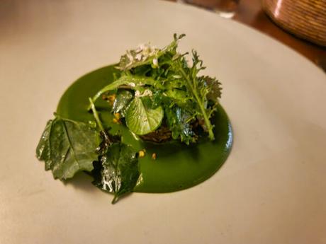 Pujol Review – Truly Superb Dining Experience in Mexico City