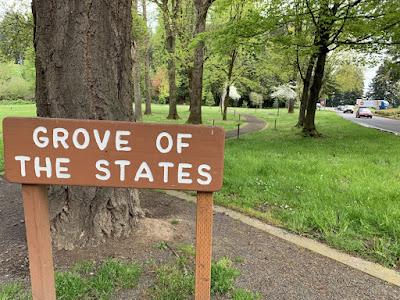 A WALK BY ALL U.S. OFFICIAL STATE TREES, IN OREGON Guest Post by Caroline Hatton at The Intrepid Tourist