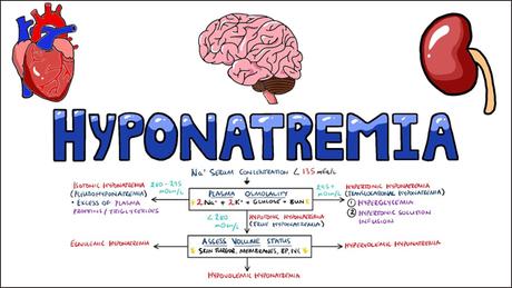 How to Treat Hyponatremia ( Low Blood Sodium) in Ayurveda