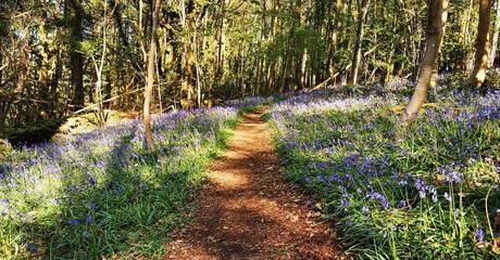What is the difference between LeJog & the End to End Trail?