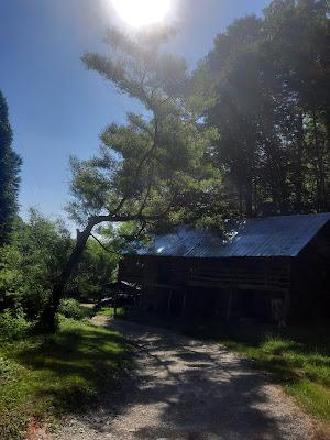 Summer Scenes