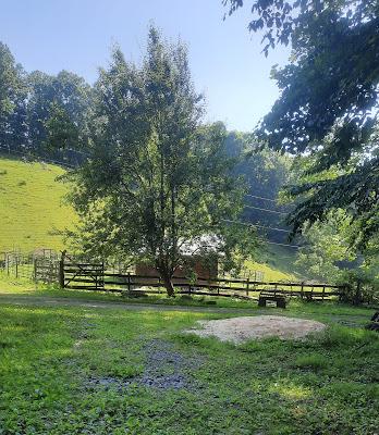 Summer Scenes