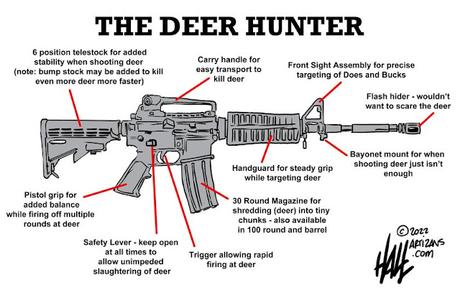 Deer Rifle?