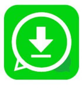 18 Best WhatsApp Status Saver Apps Android 2022