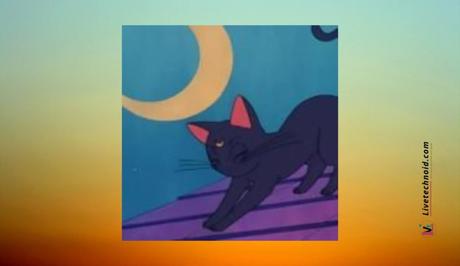 Aesthetic cartoon cat