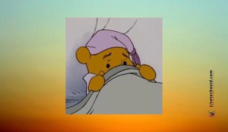 Winnie the Pooh