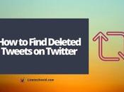 Find Deleted Tweets Twitter