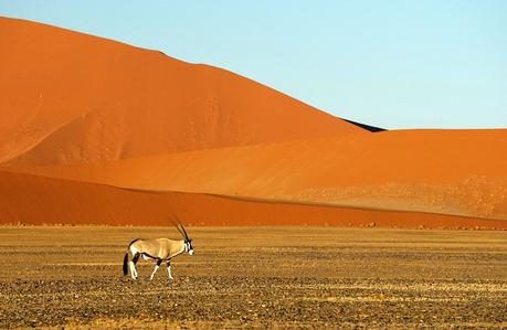 10 Best Places To Visit In Namibia | Most Beautiful Destinations