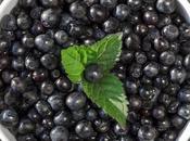 Flavorsome Substitutes Currants Need Know About