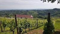 Exploring Zagreb County and Its Culture, History, and Wine