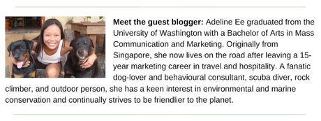 Paws For Reaction Guest Blogger Adeline Ee Bio