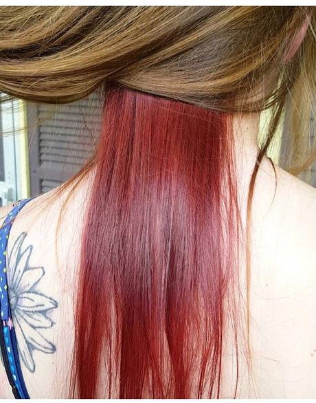 Red and Brown Underneath Hair Color