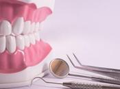 Importance Dental Care: Can’t Ignore