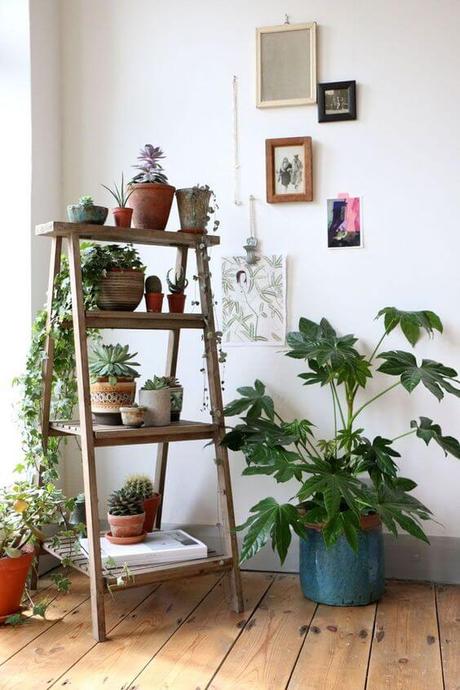 fabulous indoor garden ideas